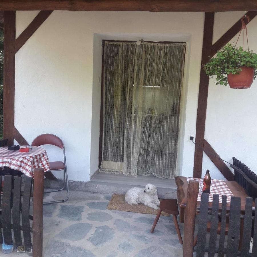 Sljivik Guest House Ni Eksteriør bilde